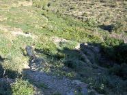 Click for large version