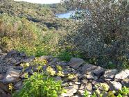 Click for large version