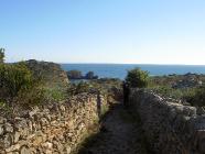 Click for large version