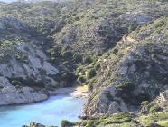 Click for large version