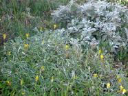 Click for large version