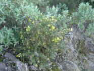 Click for large version