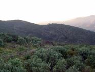 Click for large version