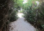 IMG 3223