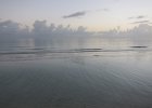 IMG 3295