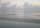 IMG 3300