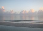IMG 3305