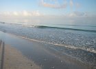 IMG 3336