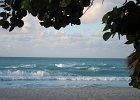 IMG 3705